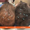 DS Laboratories | RevitaTabletas®