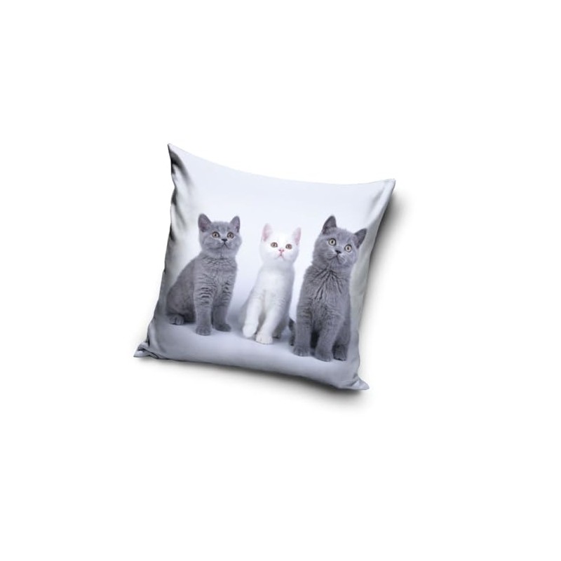 Cat Baby Motif Cushion Cover 40 x 40 cm (PNL231182)