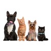 Flymind 6 Pack Puppy Collars with Bell, Breakaway Cat ID