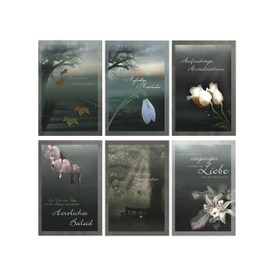 81-6510 Sympathy Cards with Envelope and 1 x Picture Magnet Condolence Cards Condolence Cards Condolence Cards Pack of 25