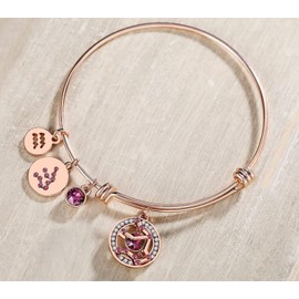 Leafael Superstar Aquarius Zodiac Expandable Bangle Bracelet Made with Premium Crystals Horoscope Constellation Janurary Feburary Birthstone Jewelry, Rose Gold Plated, 7"