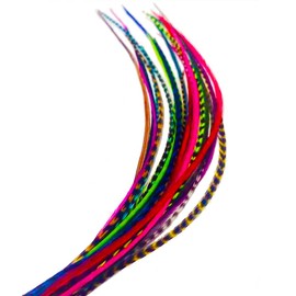 Feather Hair Extensions, 100% Real Rooster Feathers, 20 Short Rainbow Colors kit