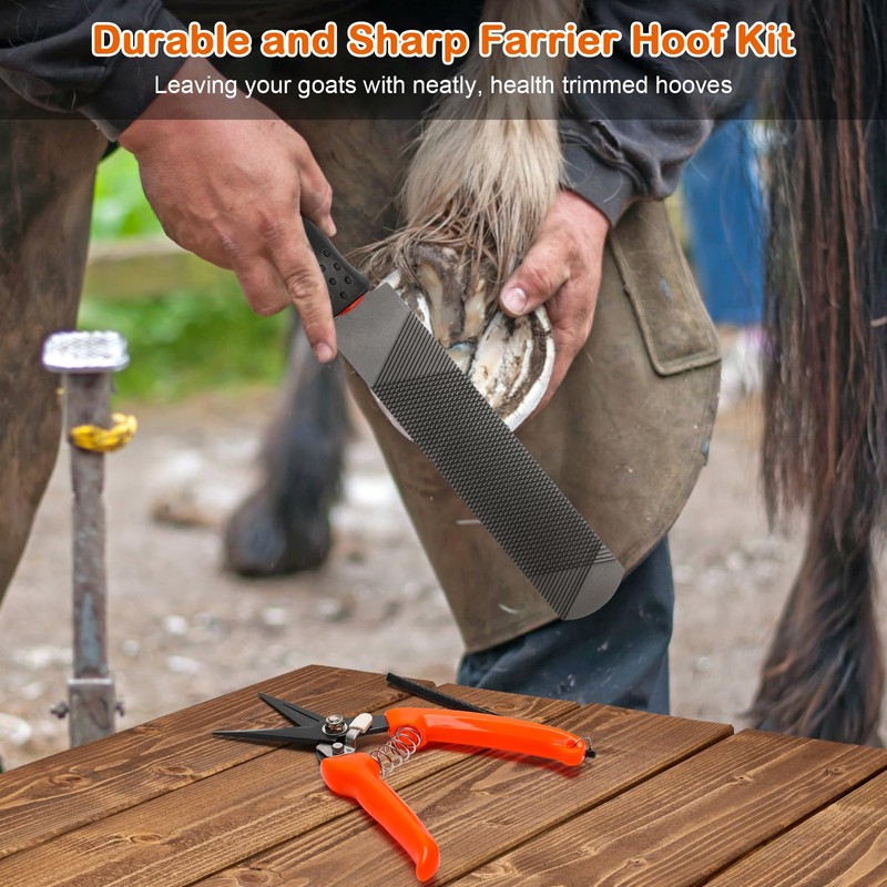 8 inch Farrier Tool Kit, Coldairsoap 3PCS Goat Hoof Trimmers