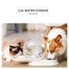 Pet Water Dispenser Food Feeder Cat Automatic Drinking Snail Shape