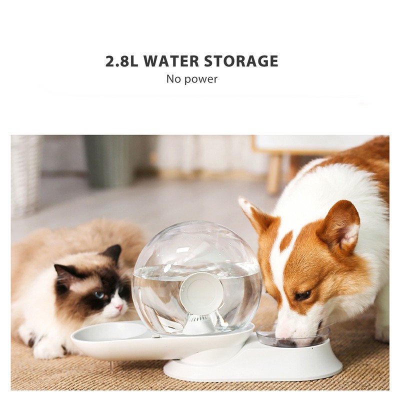 Pet Water Dispenser Food Feeder Cat Automatic Drinking Snail Shape