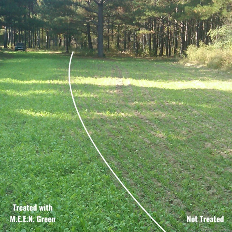 Biologic M.E.E.N. Green Spray