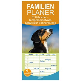 Familienplaner 2026 - Entlebucher - Temperamentvolle Schweizer Sennenhunde mit 5 Spalten (Wandkalender, 21 cm x 45 cm), CALVENDO: Entlebucher, der ... 4 Schweizer Sennenhundrassen (CALVENDO Orte)