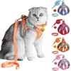 JSXD Juego de arnés para gato, correa y collar, arnés