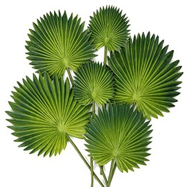 6 hojas de palma artificiales de espuma sintética, hojas tropicales, hojas de palma falsas para bricolaje, ramos de boda, hojas falsas para centros de mesa, arreglos de despedida de soltera, hojas de palma para fiestas y decoración del hogar