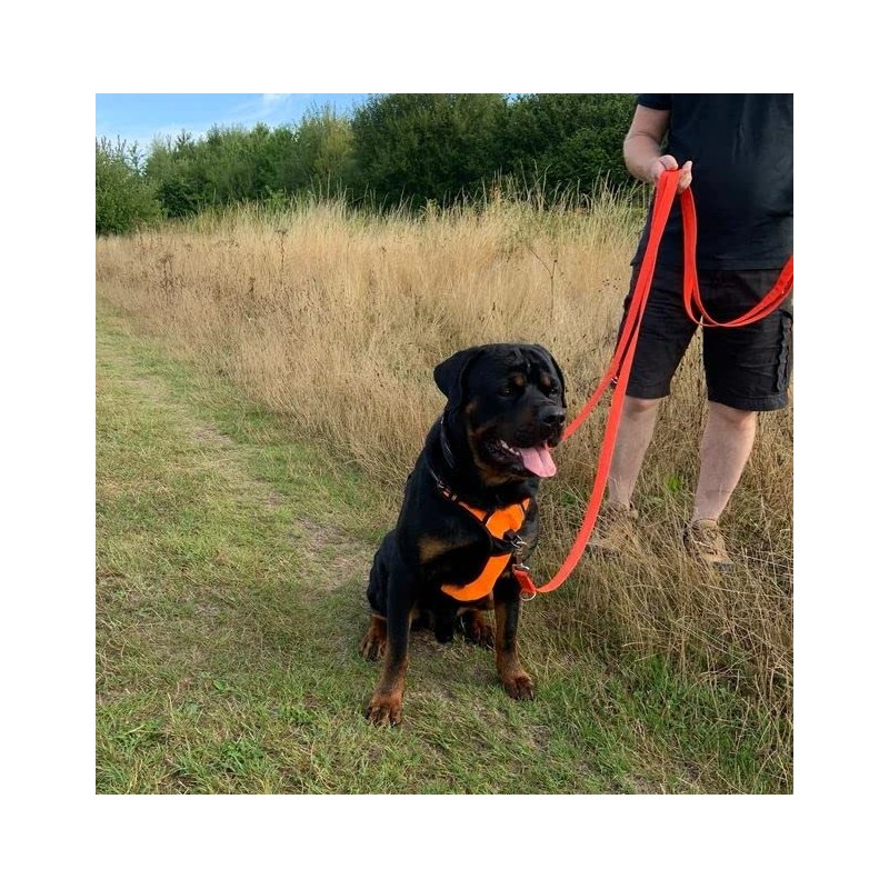 Police Style Dog Training Lead Double Ended 5ft (1.5 Metres