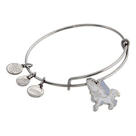 Alex and Ani Buckbeak Bangle Bracelet Midnight Silver One Size