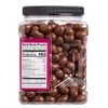 Milk Chocolate Covered Cashews, 44 oz (44 Ounce (1 Pack))
