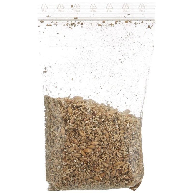 Trixie 42341 Ceramic Bowl for Cat Grass, Diameter 15 x