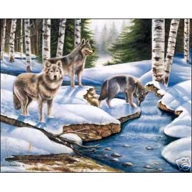 Paper Tole Supply Center Winter Wolves Paper Tole 3D Decoupage Craft Kit size 8x10 52021
