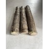 Hawaiian Green Ti Leaf Fresh Cuttings 6inch Starter Logs x6