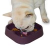 Hifrenchies Healthy Slow Feeding Dog Bowl for French Bulldog -Slow