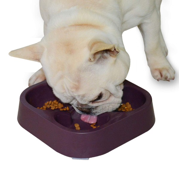 Hifrenchies Healthy Slow Feeding Dog Bowl for French Bulldog -Slow