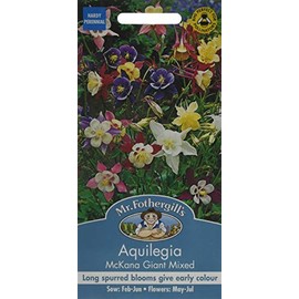 Mr Fothergill's 13701 Flower Seeds, AQUILEGIA McKana Giant Mixed