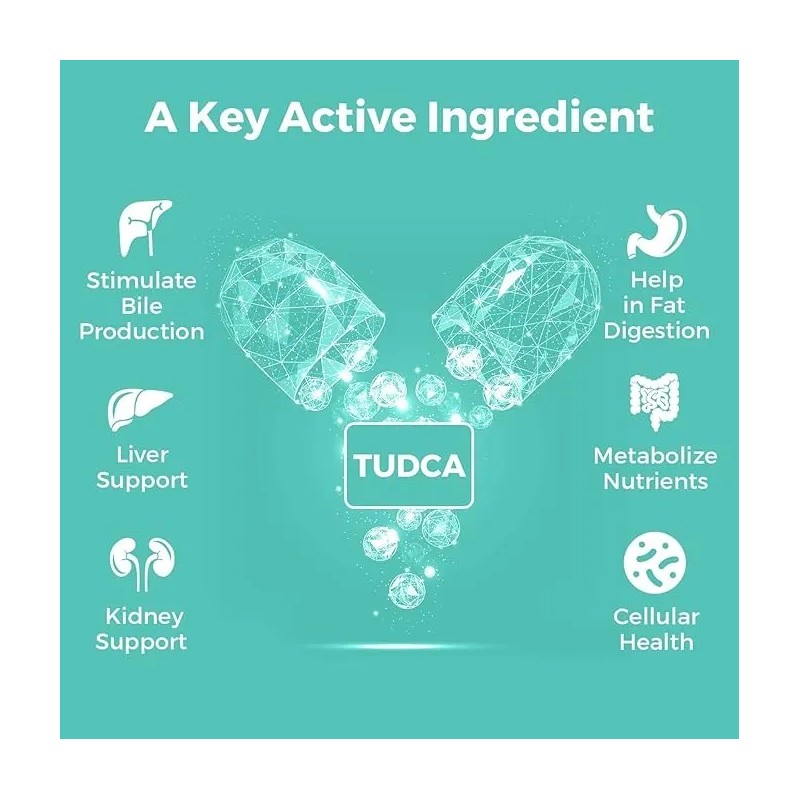 Tudca Suplemento De Sales Biliares 1000 Mg Kayseari 60 Caps