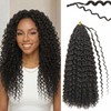 8 Packs Prelooped Boho Gogo Curl Crochet Hair(18 Inch, 4#)