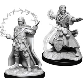 WizKids WK73830 D&D Nolzurs Marvelous Unpainted Miniatures: Wave 10: Female Human Paladin