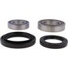 All Balls Racing 25-1012 Wheel Bearing Seal Kit Compatible with/Replacement