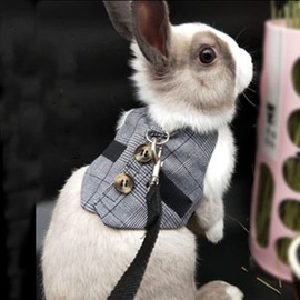Tnfeeon Rabbit Soft Breathable Harness with Lead, Pet Rabbit, Small Animal Walking Harness, Vest Lead (S)