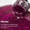 Wenida Cat Eye Gel Nail Polish, Includes Professional Nail Art