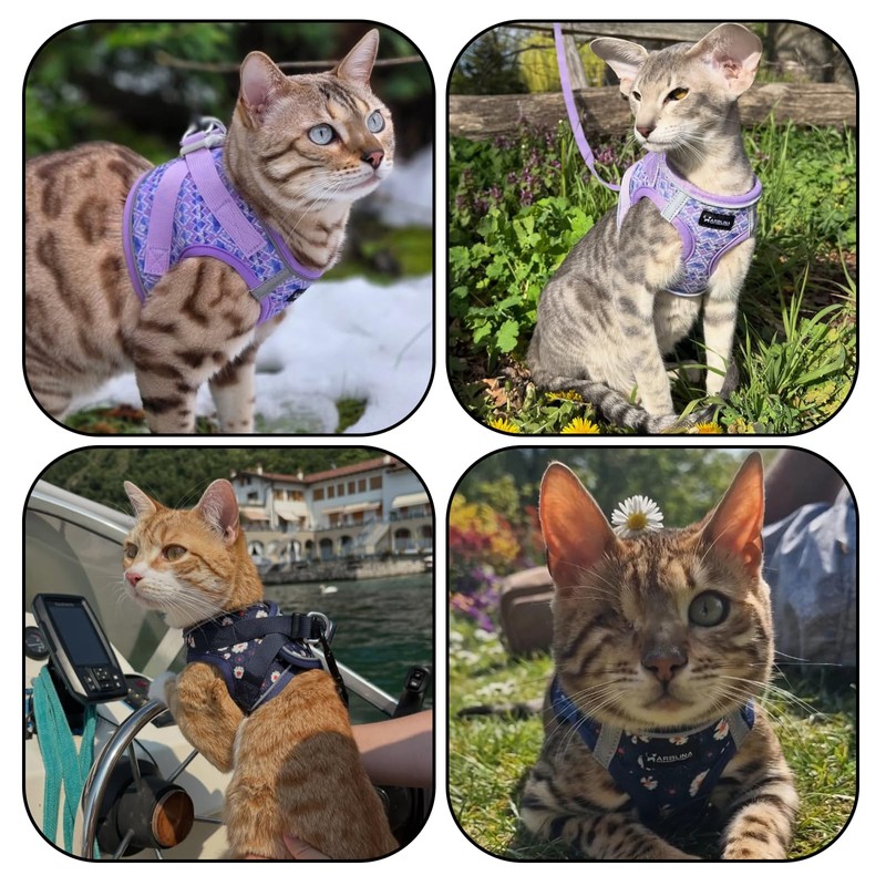 Arblina Soft Mesh Kitten Harness and Leash Set for Walking,