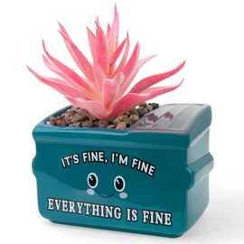 YINUOWEI Emotional Support Dumpster Fire Desk Decor, Fake Plants in Ceramic Succulent Pots, Motivational Positive Thinking Office Desk Accessories, Funny Gifts for Women, Men, Coworkers
