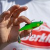 Berkley Pulse Realistic Roach Flash – Angelköder aus weichem Gummi