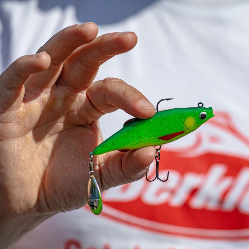 Berkley Pulse Realistic Roach Flash – Angelköder aus weichem Gummi