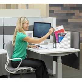 Bankers Box Stor/File Magazine File (00723)