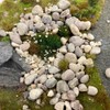 WWScenics Rocks & Pebbles | 200 g Bag | Basing