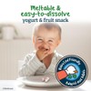 GERBER® Organic Yogurt Melts® Red Berry Toddler Snack 28 g