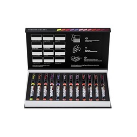 KARIN Realbrush Pigment Passion Colors - a collection of 12 brushes in an exclusive and protective case.