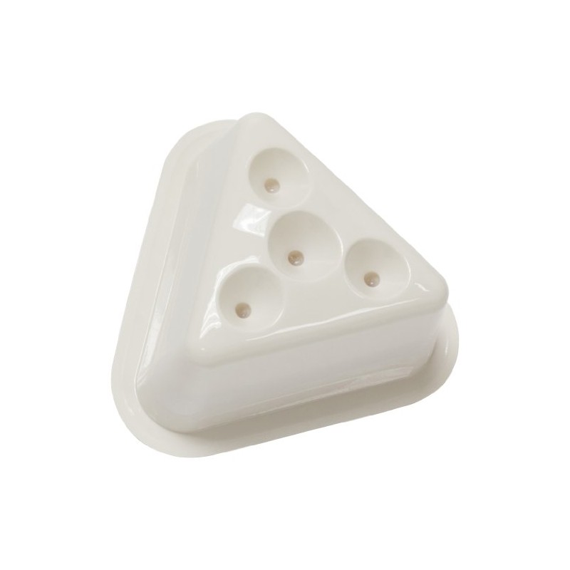 Natural Catch Fruit Fly Traps - 2 Traps