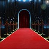 HOMBYS 450 GSM Extra Thick 3x20 ft Red Carpet Runner