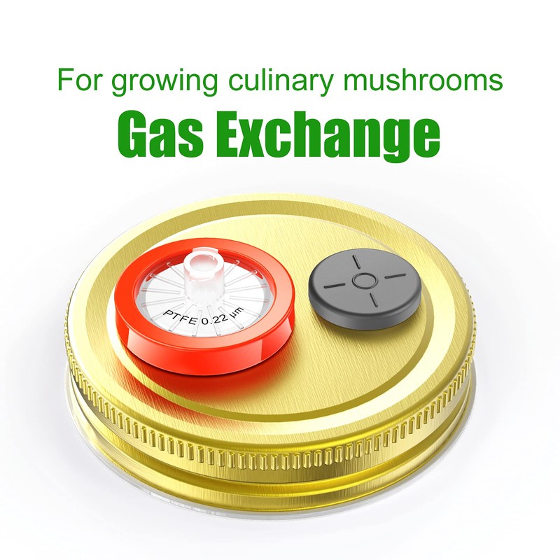 Syringe Filters PTFE Hydrophobic 25 mm 0.22 um Non Sterile