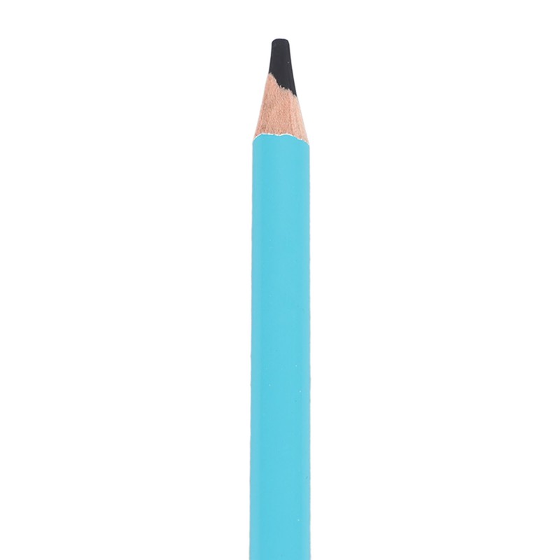 12pcs Charcoal Pencils Set Synthetic Wood Sketching Drawing Pencils for