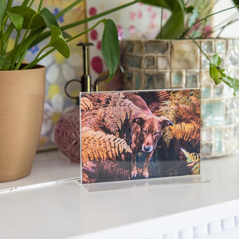 HMF 46925 Acrylic Menu Holder upright | DIN A4 Landscape