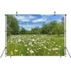 CORFOTO 5x3ft Fabric White Daisies Field Backdrop Daisy Flower Background