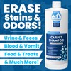 Unique Carpet Shampoo & Stain Remover, 32 oz - Pet