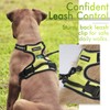 rabbitgoo Dog Harness, No-Pull Pet Harness with 2 Leash Clips,