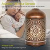 Earnest Living Essential Oil Diffuser Metal Diffuser 250 ml Timers