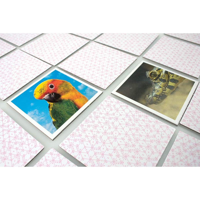 Tactic Memo Animal Babies