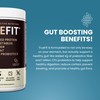TrueFit Gut Healthy Protein Powder, Grass-Fed Whey Meal Replacement Shake