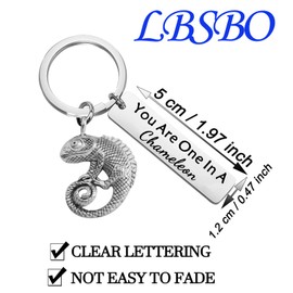 One in A Chameleon Keychain Chameleon Pendant Jewelry Happy Anniversary Birthday Valentine's Day Gift (in A Chameleon K EU)
