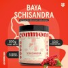 Commons Hongos Adaptógenos - Hongo de Baya Schisandra - Extracto