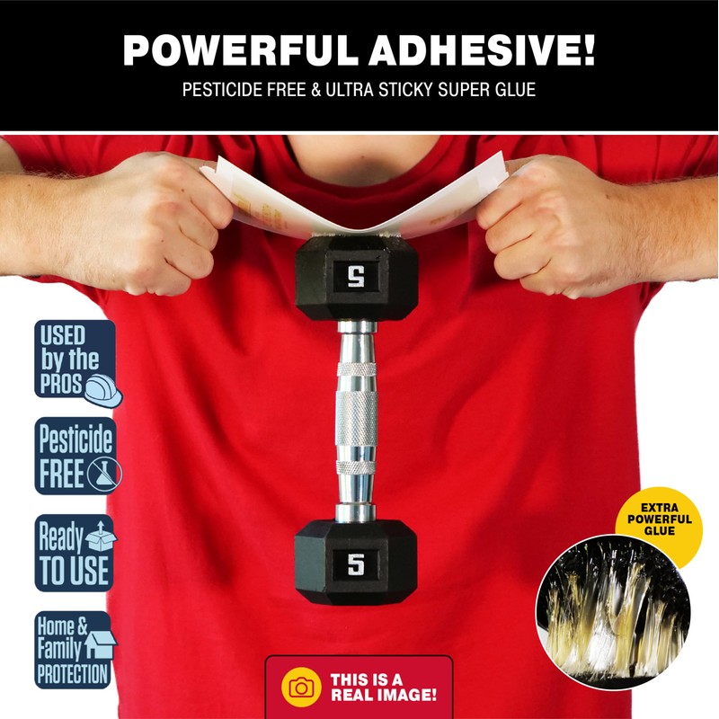 Catchmaster Pantry Pest & Moth Traps 6-Pk, Bug Killer for